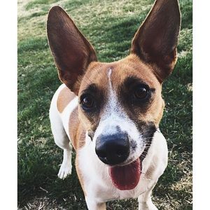 Meet your Posher, Clara